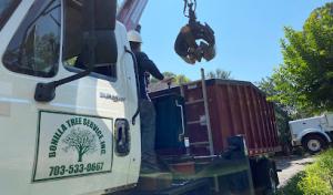 Bonilla Tree Service