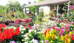 North Country Landscapes & Lenk Tree Service