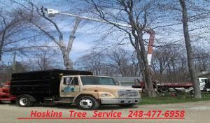 Hoskins Tree Service