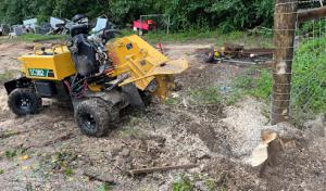 Stump Magic Gulf Coast
