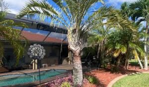 T's Trees & Landscaping