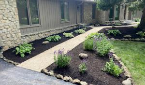 R&C Tree & Landscaping