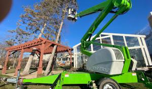 Alejandres Tree Service