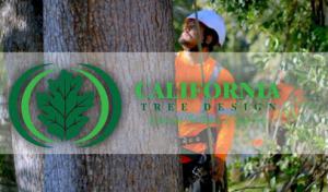 California Tree Design
