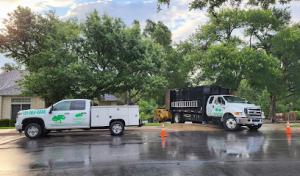 Liberty Tree Service