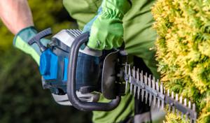 Brooklyn Tree Service Pros