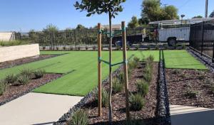Central Valley Landscape & Tree