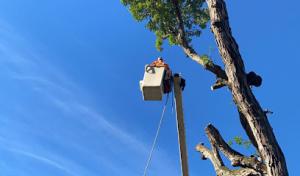 Southern Nash Septic Systems