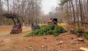 MacNeela’s Tree Service