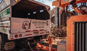 Alpha Tree Service 843