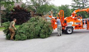 Pusateri Brothers Tree & Landscaping Service