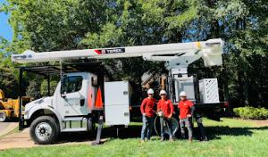 Clean Cuts Tree Service