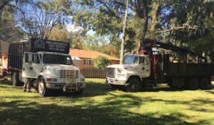 Progressive Tree Service