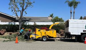 Forever Green S&G Tree Service