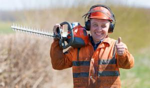 Orange County Tree Service