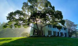 Gregory Forrest Lester