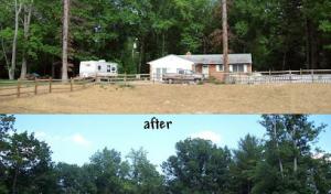 DEW Lawn & Tree Services