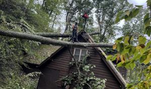 Nelson's Tree Service NC
