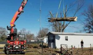 Cut Rite Tree Service