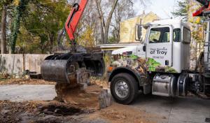 Galaxy Tree Service