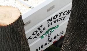 Top Notch Tree Service