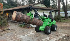 Blake's Tree Service