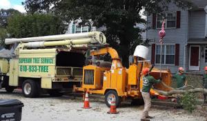 Superior Tree Service