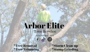 Arbor Elite
