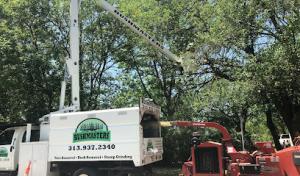 Enviro Septic