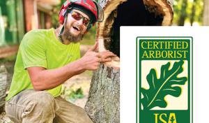 OnSite Tree Services