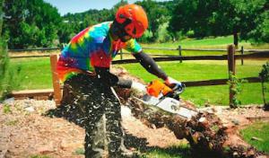 Barrios Professional Tree Service