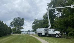 Ashton Tree & Landscape Service