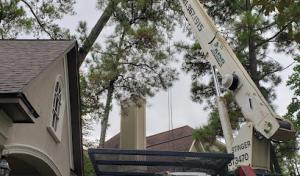 King Solomon's Tree Service