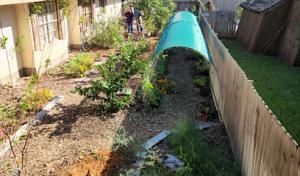 Kalbfleisch & Sons Tree Service