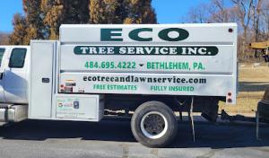 ECO Tree service
