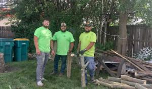 The Regions Tree Service