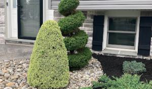 Jean's Septic