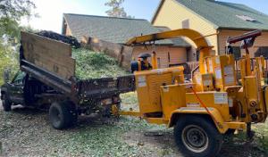 El Errante Tree & Landscaping Service