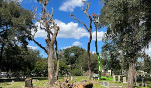 Grand Oaks Property Maintenance