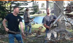 Above & Beyond Tree Care