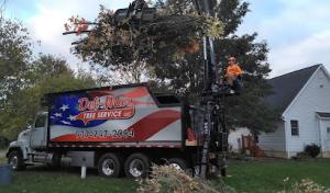Del-Mar Tree Service