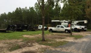 Welborn Tree Service Inc (PERMANENTLY CLOSED)