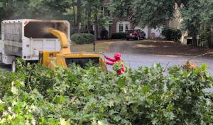 Naz Tree Service