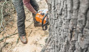 Atlanta Classic Tree Service