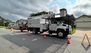 Arbor Oaks Tree Service