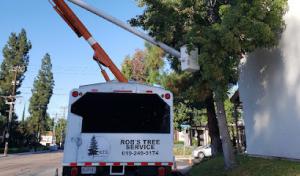 Robs Tree Service