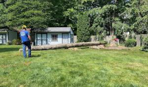 1 TEC Properties Tree Service