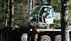 Knowles Tree Services