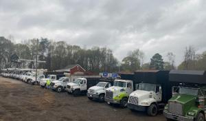 Affordable Tree Service