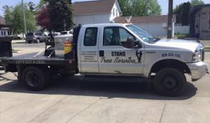 Stang Tree Service